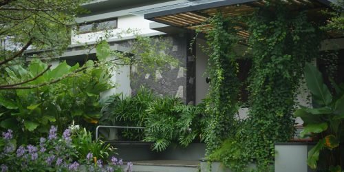 DSC08899-1