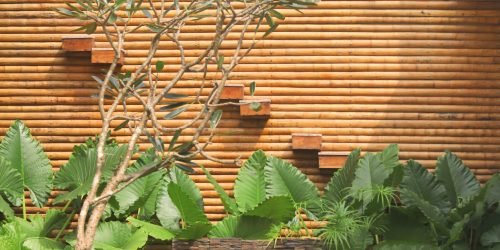 Mr. Vijay's cottage_Mannur_Goodearth_Exterior (32)