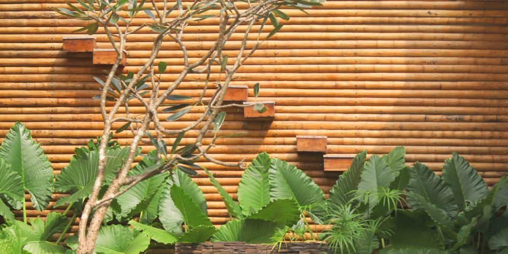 Mr. Vijay's cottage_Mannur_Goodearth_Exterior (32)
